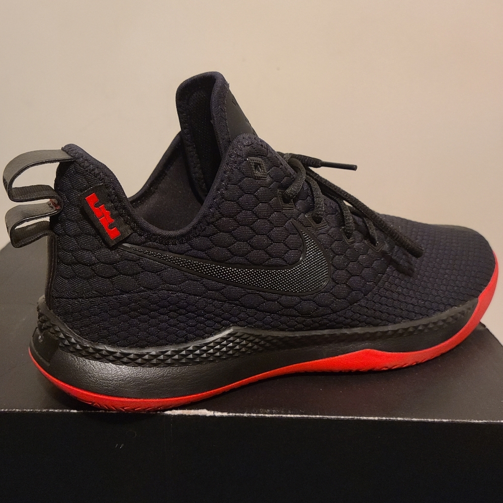 LeBron James Nike Sneakers